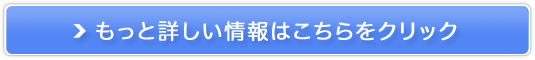 fCCxCVbN̔TCg